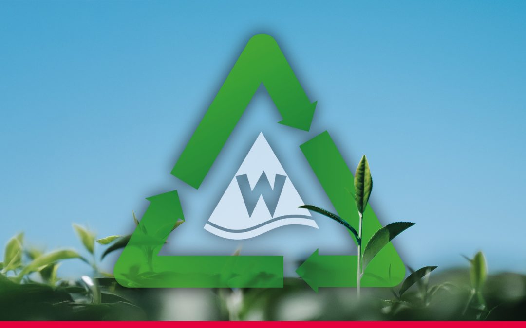 Nachhaltigkeit bei Wiesentaler: Unser Engagement für die Umwelt